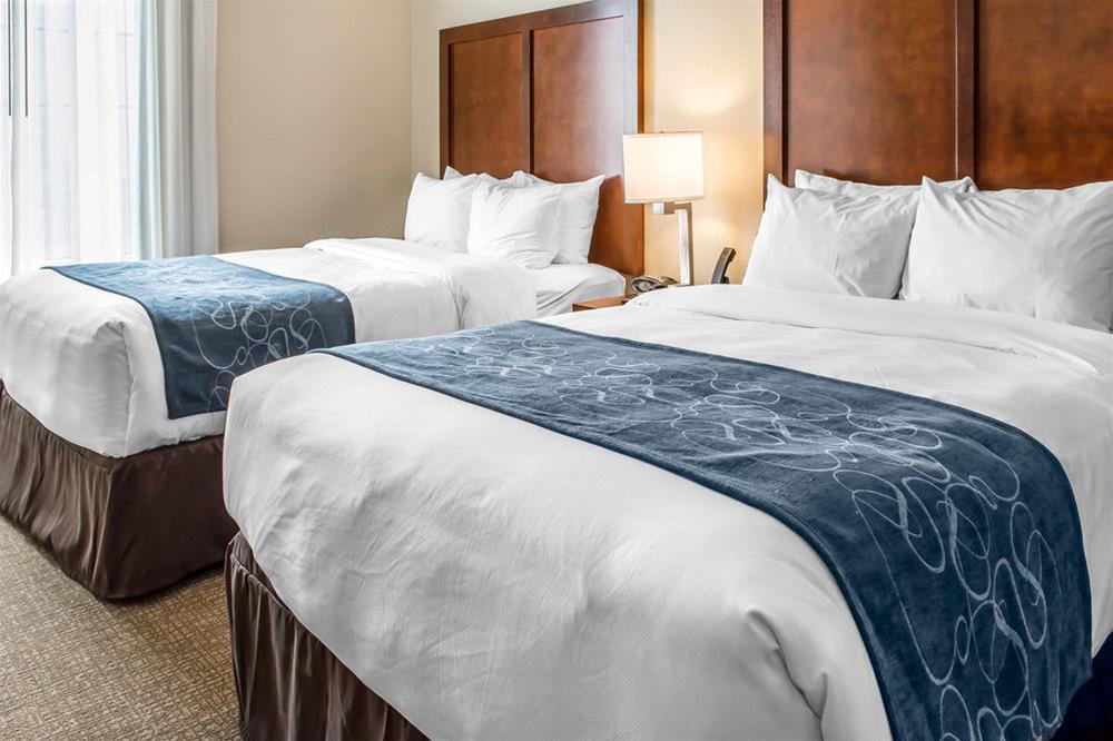 Comfort Suites Near Potomac Mills Woodbridge Esterno foto